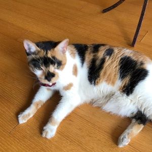 Meet your Posher, Nora